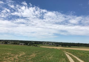 Tour Wandern Havelange - Verlée, Buzin, Jeneffe, Verlée  - Photo