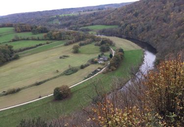 Excursión Senderismo Esneux - Merry Roche aux faucons par le haut - Photo