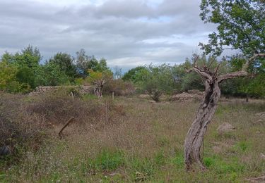 Trail Walking Saint-Paul-le-Jeune - randonnee des combes blancs - Photo