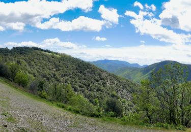 Excursión Senderismo Val-d'Aigoual - valleraugue - Photo