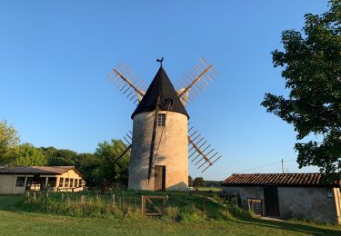 Excursión Senderismo Vensac - Autour de Vensac - Photo