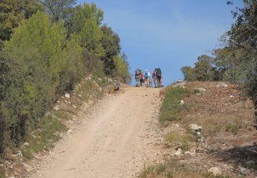 Tour Wandern Éguilles - PF-Eguilles, balade dans les collines - Photo