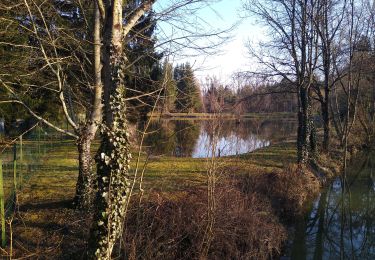 Randonnée Marche Rambervillers - Romont  - Photo