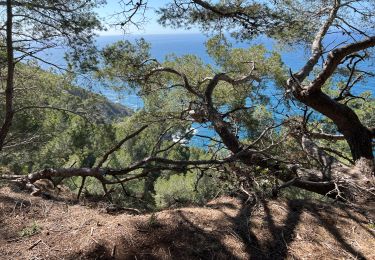 Excursión Senderismo Six-Fours-les-Plages - Notre Dame du Mai  - Photo