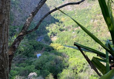 Trail Walking Entre-Deux - Petite Ravine 31102022 - Photo