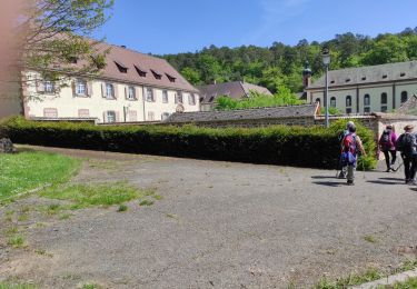 Percorso Marcia Vœgtlinshoffen - Voeglinshoffen StMarc - Photo