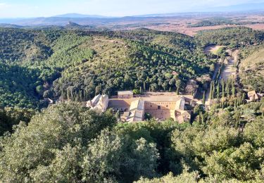 Randonnée Marche Peyriac-de-Mer - Abbaye Fontfroide depuis Peyriac  - Photo