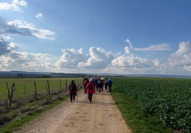 Percorso Marcia Riaucourt - Riaucourt - Photo