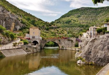 Randonnée Marche Loriol-sur-Drôme - Le Pouzin Le Bac. 7km. - Photo