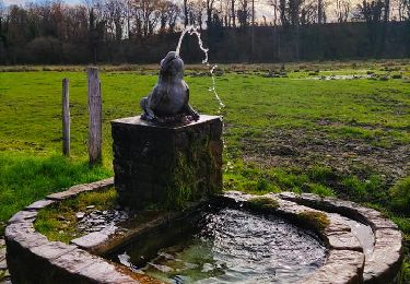 Percorso Marcia Braives - La Rainette des marais   - Photo