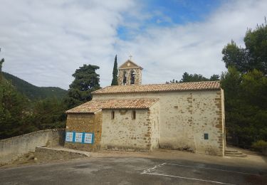 Excursión Senderismo Châteauneuf-de-Bordette - Chateauneuf de Bordette Montagne Pietieix boucle - Photo