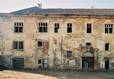 Excursión A pie Kounice - Naučná stezka Kounická - Photo