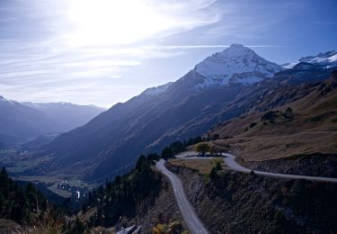 Trail On foot Val-Cenis - Boucle du Lac Blanc - Photo