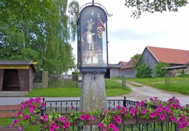 Percorso A piedi Gemeinde Waldhausen - Schatzbichlweg-Salieraweg 72 - Photo