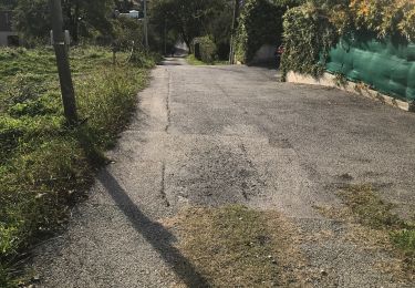 Trail sport Mougins - Le long du canal de la Siagne (une partie) - Photo