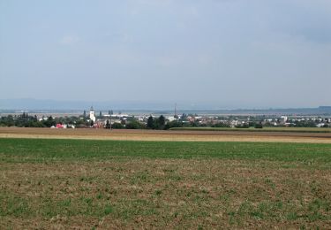 Excursión A pie Senice na Hané - NS Elišky z Kunštátu - Photo