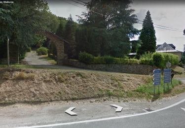 Trail Walking Vresse-sur-Semois - Alle Cornimont Chairière via le Mont d'Aule  11 km 460 m DP - Photo