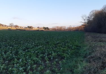 Tour Wandern Cuq-Toulza - boucle Condoumines Girou - Photo