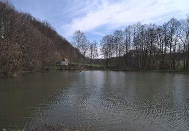 Excursión A pie Blieskastel - Eulenwanderweg - Photo