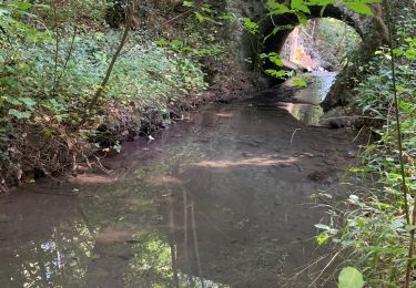 Randonnée Marche Magny-les-Hameaux - Merantaise réel - Photo