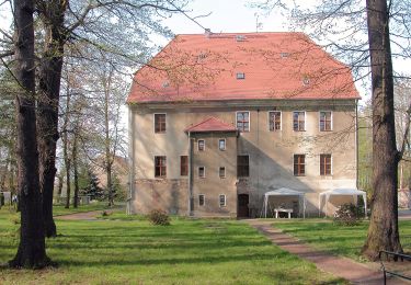 Tour Zu Fuß Schönfeld - Ortrand-Radeburg-Steinbach - Photo