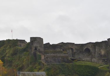 Tocht Stappen La Roche-en-Ardenne - 20221118 - TOTEMUS La Roche en Ardenne - 4 Km - Photo