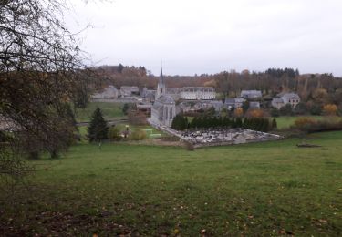 Trail Walking Onhaye - Weillen 171120 - Photo