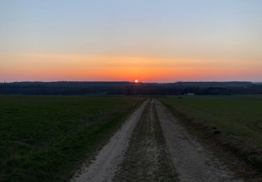 Tour Laufen Ligny-le-Châtel - Circuit autour de Ligny le chatel - Photo