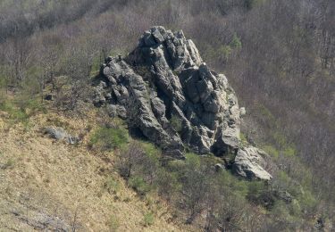 Tour Zu Fuß Ceranesi - San Carlo di Cese - Monte Proratado - Photo