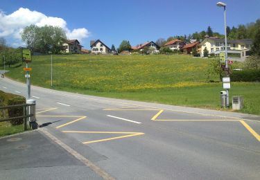 Tour Zu Fuß Stadt Feldkirch - Mauren - St. Corneli (A) - Photo