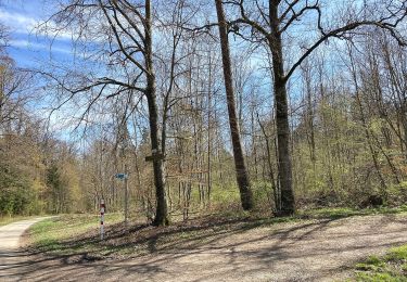 Tour Zu Fuß Starzach - Burgmühle-Frommenhausen-Rottenburg - Photo