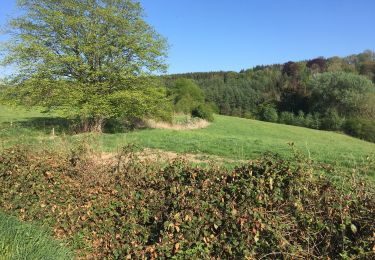 Trail Walking Esneux - La Haze - Chaply - Fays - Lincé - Betgné - Photo