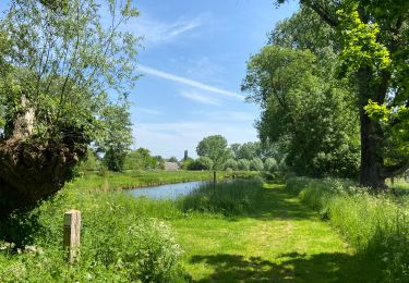 Percorso Marcia Dilbeek - Un petit tour vers le moulin - Photo