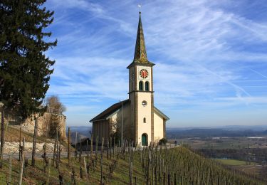 Tocht Te voet Neftenbach - Tössegg-Klettgau-Weg - Photo