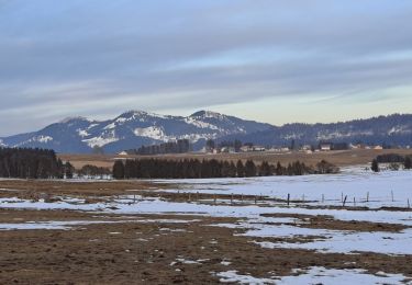 Tocht Langlaufen Les Fourgs - Piste du Voirnon - Photo