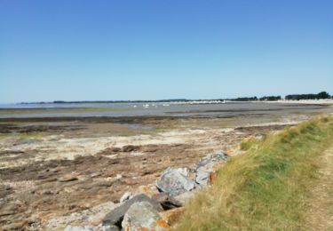 Randonnée V.T.T. Sarzeau - 56 autour du tour du parc /Penvins  - Photo