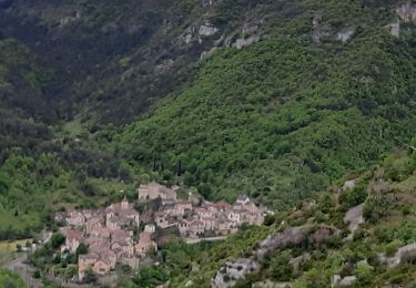 Tocht Stappen Le Rozier - circuit Brunet et partie du circuit de Cassagnes le Rozier - Photo