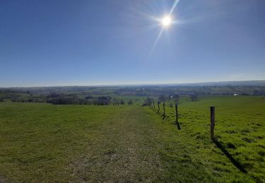 Randonnée Marche Aubel - Val Dieu  à travers champs - Photo