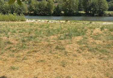Trail Walking Millau - Millau Tarn - Photo