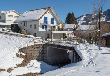 Excursión A pie Escholzmatt-Marbach - Escholzmatt - Wiggen - Photo