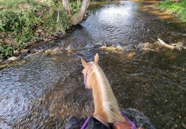 Tour Reiten Celles-sur-Plaine - randonnée Celles-sur-Plaine direction Cirey-sur-Vezouze  - Photo