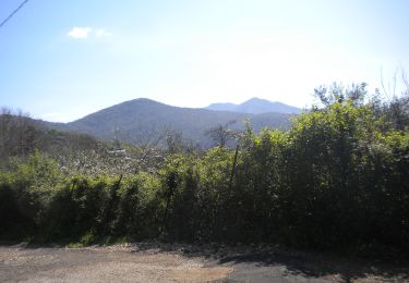 Tocht Te voet Norma - Selva di Cori- Monte Lupone - Photo