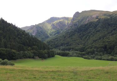 Tour Zu Fuß Chambon-sur-Lac - La Vallée de Chaudefour - Photo