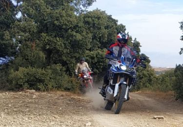 Trail Moto cross Villa de Otura - Granada- Jete- La Herradura - Photo