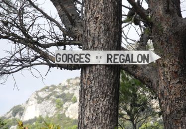 Randonnée Marche Cheval-Blanc - PF-Cheval-Blanc - Les Gorges du Régalon - Les Mayorques - W - Var - Photo
