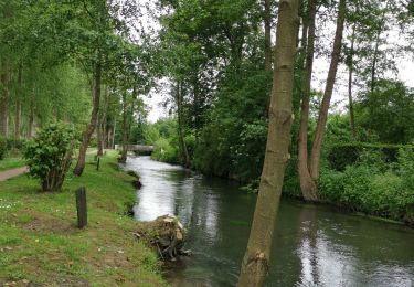 Trail Walking Criel-sur-Mer - criel sur mer - Photo