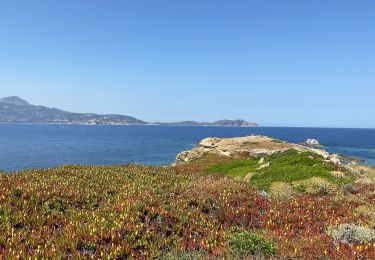 Tour Wandern Lumio - Lumio vers ÎLE DE SPANO - Photo