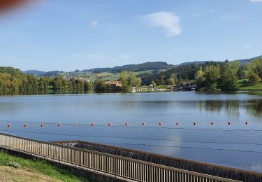 Trail Walking Ronno - lac des Sapins - Photo