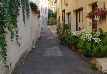 Tocht Stappen Moustiers-Sainte-Marie - tour de moustiers - Photo