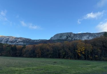 Trail Walking Nans-les-Pins - Ste Baume - Photo